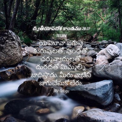 Picture 04 - ద్వితీయోపదేశ కాండము 28:27 TELIRV - యెహోవా ఐగుప్తు - Bible Verse Picture