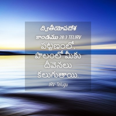 Picture 04 - ద్వితీయోపదేశ కాండము 28:3 TELIRV - పట్టణంలో, పొలంలో - Bible Verse Picture