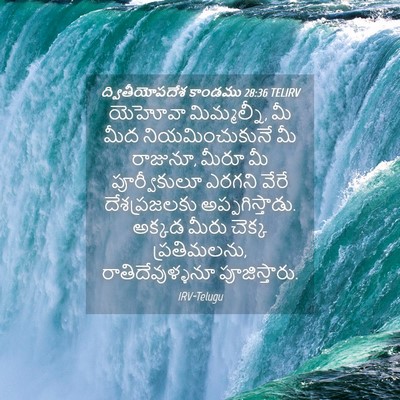 Picture 04 - ద్వితీయోపదేశ కాండము 28:36 TELIRV - యెహోవా మిమ్మల్నీ, - Bible Verse Picture