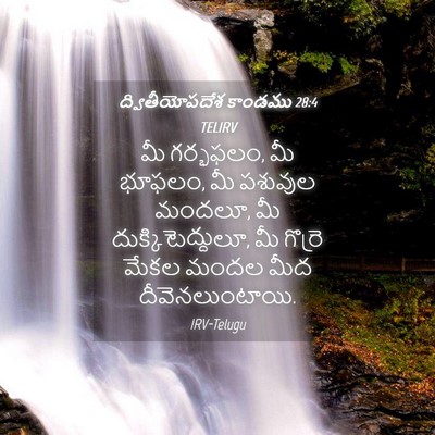 Picture 04 - ద్వితీయోపదేశ కాండము 28:4 TELIRV - మీ గర్భఫలం, మీ - Bible Verse Picture