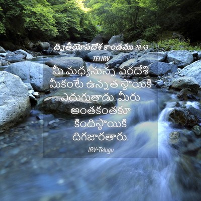 Picture 04 - ద్వితీయోపదేశ కాండము 28:43 TELIRV - మీ మధ్యనున్న - Bible Verse Picture