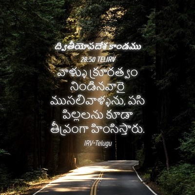 Picture 04 - ద్వితీయోపదేశ కాండము 28:50 TELIRV - వాళ్ళు క్రూరత్వం - Bible Verse Picture