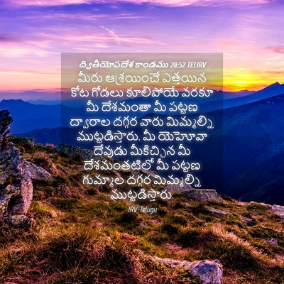 Picture 04 - ద్వితీయోపదేశ కాండము 28:52 TELIRV - మీరు ఆశ్రయించే - Bible Verse Picture