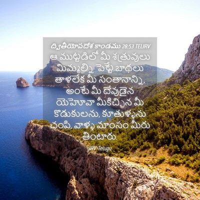 Picture 04 - ద్వితీయోపదేశ కాండము 28:53 TELIRV - ఆ ముట్టడిలో మీ - Bible Verse Picture