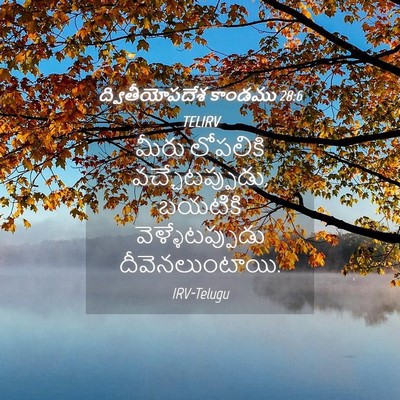 Picture 04 - ద్వితీయోపదేశ కాండము 28:6 TELIRV - మీరు లోపలికి - Bible Verse Picture