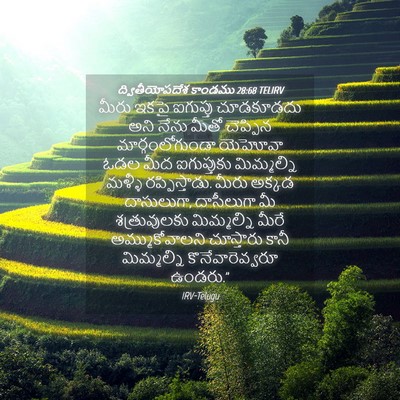 Picture 04 - ద్వితీయోపదేశ కాండము 28:68 TELIRV - మీరు ఇకపై ఐగుప్తు - Bible Verse Picture