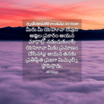 Picture 04 - ద్వితీయోపదేశ కాండము 28:9 TELIRV - మీరు మీ యెహోవా - Bible Verse Picture