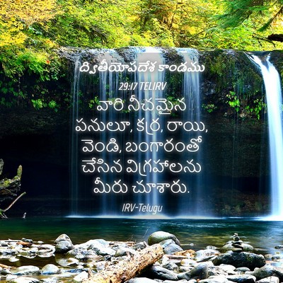 Picture 04 - ద్వితీయోపదేశ కాండము 29:17 TELIRV - వారి నీచమైన పనులూ, - Bible Verse Picture