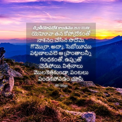 Picture 04 - ద్వితీయోపదేశ కాండము 29:23 TELIRV - యెహోవా తన - Bible Verse Picture