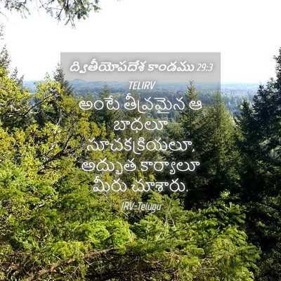 Picture 04 - ద్వితీయోపదేశ కాండము 29:3 TELIRV - అంటే తీవ్రమైన ఆ - Bible Verse Picture