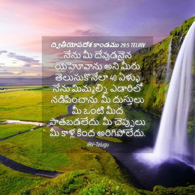 Picture 04 - ద్వితీయోపదేశ కాండము 29:5 TELIRV - నేను మీ దేవుడనైన - Bible Verse Picture