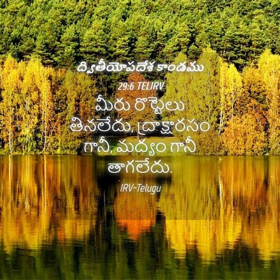 Picture 04 - ద్వితీయోపదేశ కాండము 29:6 TELIRV - మీరు రొట్టెలు - Bible Verse Picture