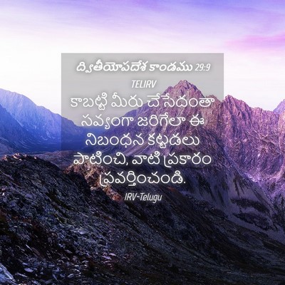 Picture 04 - ద్వితీయోపదేశ కాండము 29:9 TELIRV - కాబట్టి మీరు - Bible Verse Picture