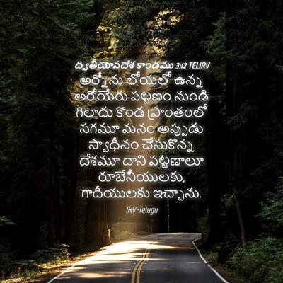 Picture 04 - ద్వితీయోపదేశ కాండము 3:12 TELIRV - అర్నోను లోయలో - Bible Verse Picture