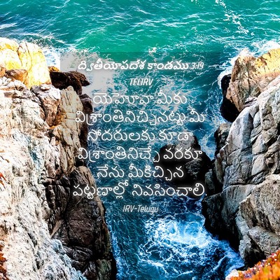 Picture 04 - ద్వితీయోపదేశ కాండము 3:19 TELIRV - యెహోవా మీకు - Bible Verse Picture
