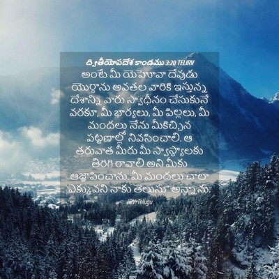 Picture 04 - ద్వితీయోపదేశ కాండము 3:20 TELIRV - అంటే మీ యెహోవా - Bible Verse Picture