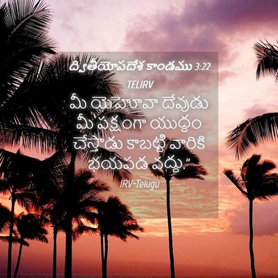 Picture 04 - ద్వితీయోపదేశ కాండము 3:22 TELIRV - మీ యెహోవా దేవుడు - Bible Verse Picture