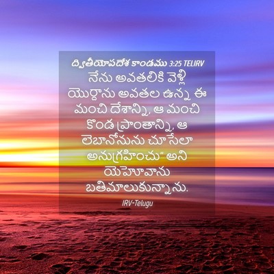 Picture 04 - ద్వితీయోపదేశ కాండము 3:25 TELIRV - నేను అవతలికి - Bible Verse Picture