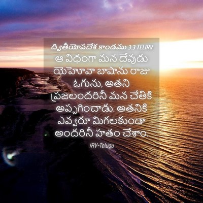 Picture 04 - ద్వితీయోపదేశ కాండము 3:3 TELIRV - ఆ విధంగా మన దేవుడు - Bible Verse Picture