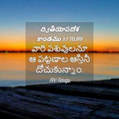 Picture 04 - ద్వితీయోపదేశ కాండము 3:7 TELIRV - వారి పశువులనూ ఆ - Bible Verse Picture