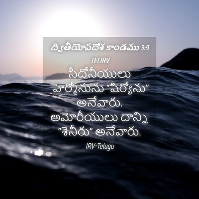 Picture 04 - ద్వితీయోపదేశ కాండము 3:9 TELIRV - సీదోనీయులు - Bible Verse Picture