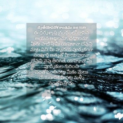 Picture 04 - ద్వితీయోపదేశ కాండము 30:10 TELIRV - ఈ ధర్మశాస్త్ర - Bible Verse Picture
