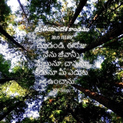 Picture 04 - ద్వితీయోపదేశ కాండము 30:15 TELIRV - చూడండి, ఈరోజు నేను - Bible Verse Picture