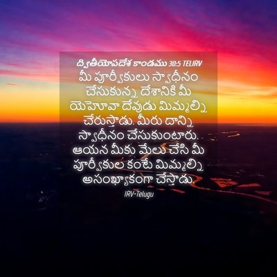 Picture 04 - ద్వితీయోపదేశ కాండము 30:5 TELIRV - మీ పూర్వీకులు - Bible Verse Picture