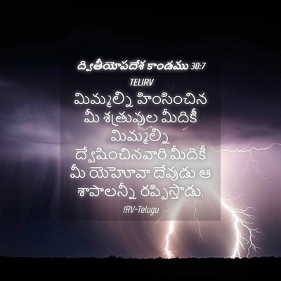Picture 04 - ద్వితీయోపదేశ కాండము 30:7 TELIRV - మిమ్మల్ని - Bible Verse Picture