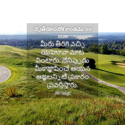 Picture 04 - ద్వితీయోపదేశ కాండము 30:8 TELIRV - మీరు తిరిగి వచ్చి - Bible Verse Picture