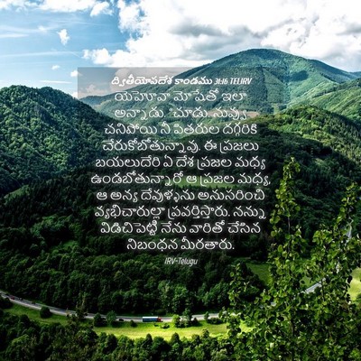Picture 04 - ద్వితీయోపదేశ కాండము 31:16 TELIRV - యెహోవా మోషేతో ఇలా - Bible Verse Picture