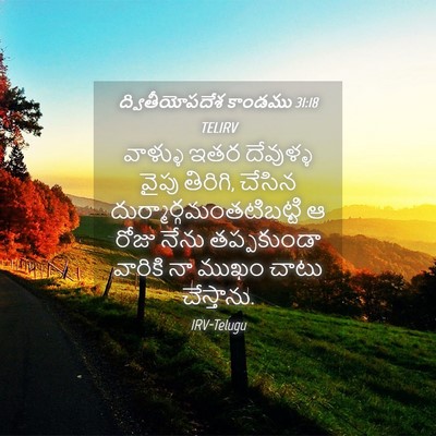 Picture 04 - ద్వితీయోపదేశ కాండము 31:18 TELIRV - వాళ్ళు ఇతర - Bible Verse Picture