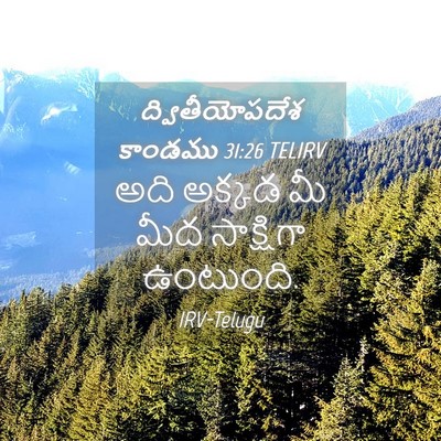 Picture 04 - ద్వితీయోపదేశ కాండము 31:26 TELIRV - అది అక్కడ మీ మీద - Bible Verse Picture