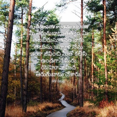Picture 04 - ద్వితీయోపదేశ కాండము 31:27 TELIRV - మీ - Bible Verse Picture