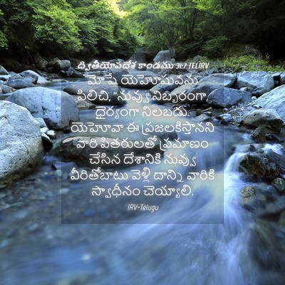 Picture 04 - ద్వితీయోపదేశ కాండము 31:7 TELIRV - మోషే యెహోషువను - Bible Verse Picture