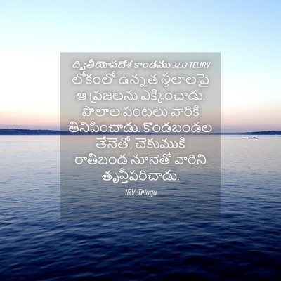 Picture 04 - ద్వితీయోపదేశ కాండము 32:13 TELIRV - లోకంలో ఉన్నత - Bible Verse Picture