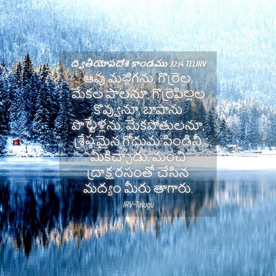Picture 04 - ద్వితీయోపదేశ కాండము 32:14 TELIRV - ఆవు మజ్జిగను, - Bible Verse Picture