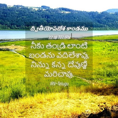 Picture 04 - ద్వితీయోపదేశ కాండము 32:18 TELIRV - నీకు తండ్రి లాంటి - Bible Verse Picture