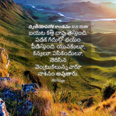 Picture 04 - ద్వితీయోపదేశ కాండము 32:25 TELIRV - బయట కత్తి చావు - Bible Verse Picture