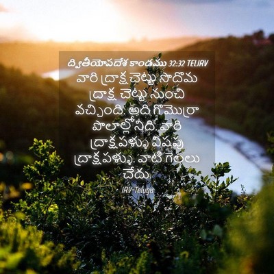 Picture 04 - ద్వితీయోపదేశ కాండము 32:32 TELIRV - వారి - Bible Verse Picture