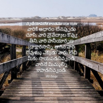 Picture 04 - ద్వితీయోపదేశ కాండము 32:38 TELIRV - వారికి ఆధారం - Bible Verse Picture