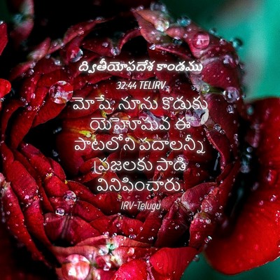 Picture 04 - ద్వితీయోపదేశ కాండము 32:44 TELIRV - మోషే, నూను కొడుకు - Bible Verse Picture
