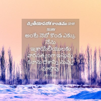Picture 04 - ద్వితీయోపదేశ కాండము 32:49 TELIRV - అంటే నెబో కొండ - Bible Verse Picture