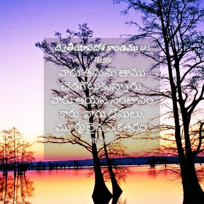 Picture 04 - ద్వితీయోపదేశ కాండము 32:5 TELIRV - వారు తమను తాము - Bible Verse Picture