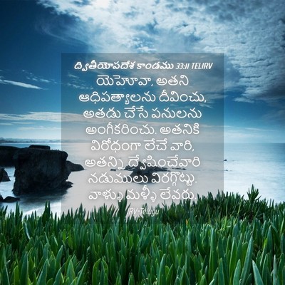 Picture 04 - ద్వితీయోపదేశ కాండము 33:11 TELIRV - యెహోవా, అతని - Bible Verse Picture