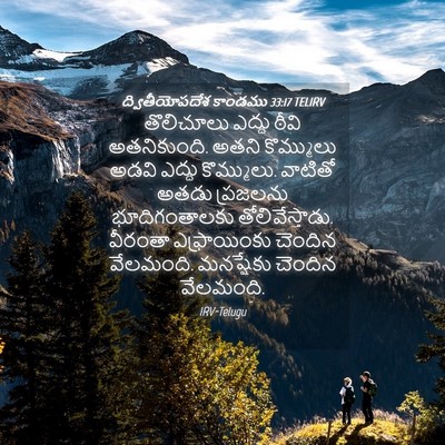 Picture 04 - ద్వితీయోపదేశ కాండము 33:17 TELIRV - తొలిచూలు ఎద్దు - Bible Verse Picture