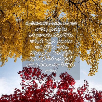 Picture 04 - ద్వితీయోపదేశ కాండము 33:19 TELIRV - వాళ్ళు ప్రజలను - Bible Verse Picture