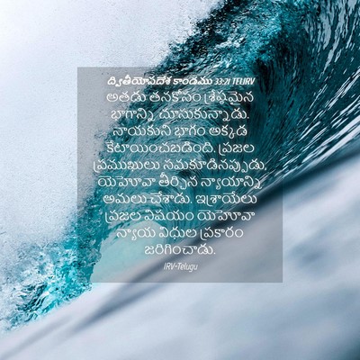 Picture 04 - ద్వితీయోపదేశ కాండము 33:21 TELIRV - అతడు తనకోసం - Bible Verse Picture