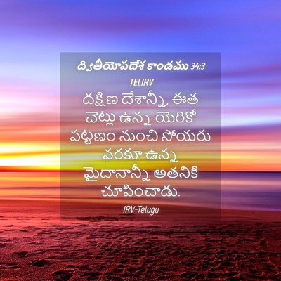 Picture 04 - ద్వితీయోపదేశ కాండము 34:3 TELIRV - దక్షిణ దేశాన్నీ, - Bible Verse Picture