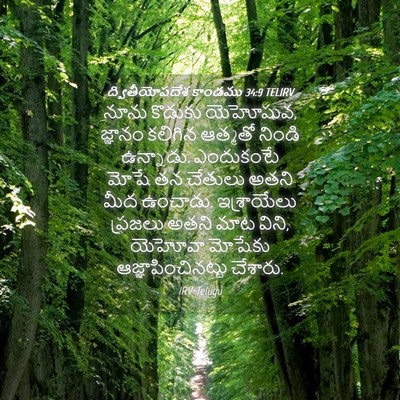 Picture 04 - ద్వితీయోపదేశ కాండము 34:9 TELIRV - నూను కొడుకు - Bible Verse Picture
